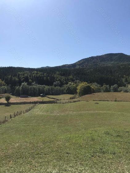 Teren de 6600 mp, în Cuejdiu