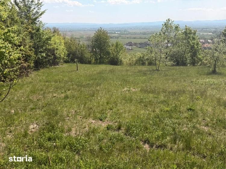 Teren de 1400 mp, în Fărcașa