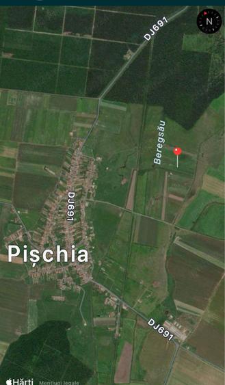 Teren de 10000 mp, în Pișchia