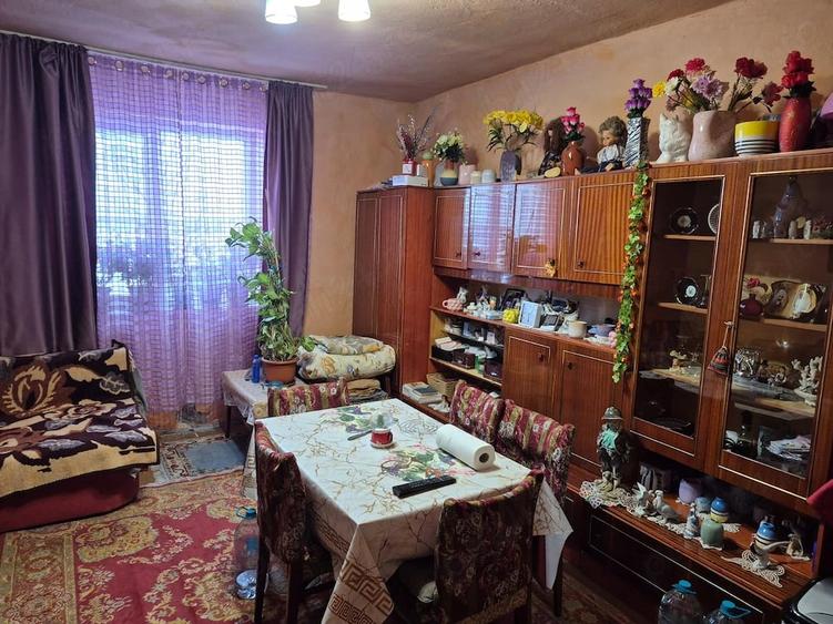 Casă cu 2 camere cu Teren 1150 Mp în Pustiniș