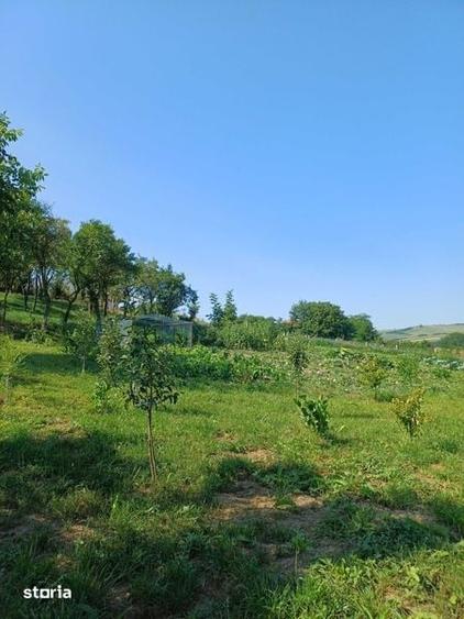 Casa de vanzare Saulia, jud. Mures - 5