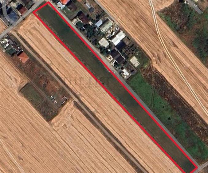 Teren Construcții intravilan de 4869 mp, în Dârza