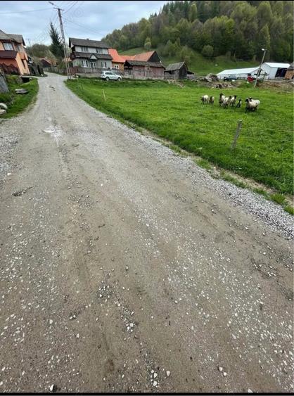 Teren de 1500 mp, în Vama Buzăului