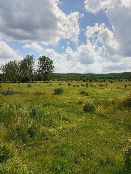 Teren de 1500 mp, în Merișani