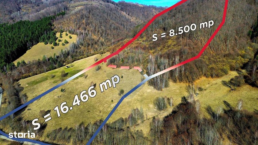 Teren de 16466 mp, în Desești