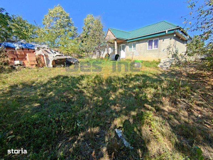 Casa langa PADURE + anexe + 6400 mp TEREN intravilan - sat HARPA?E - 10