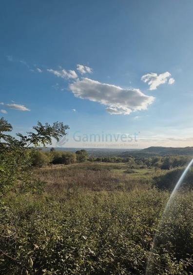 Teren agricol extravilan de 2600 mp, în Dealuri Oradea