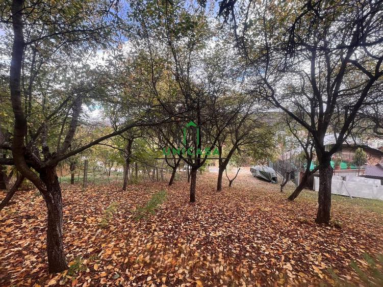 Teren agricol intravilan de 4257 mp, în Morilor