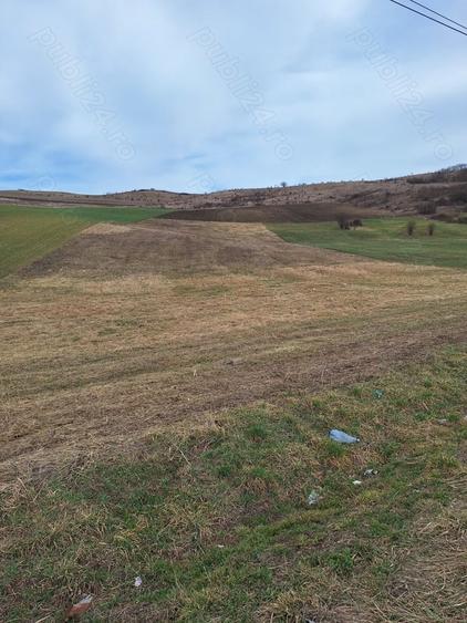 Teren de 5800 mp, în Gădălin