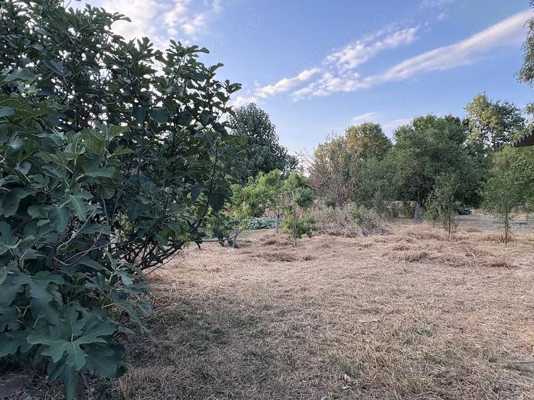 Casă cu 3 camere cu Teren 1500 Mp în Borș