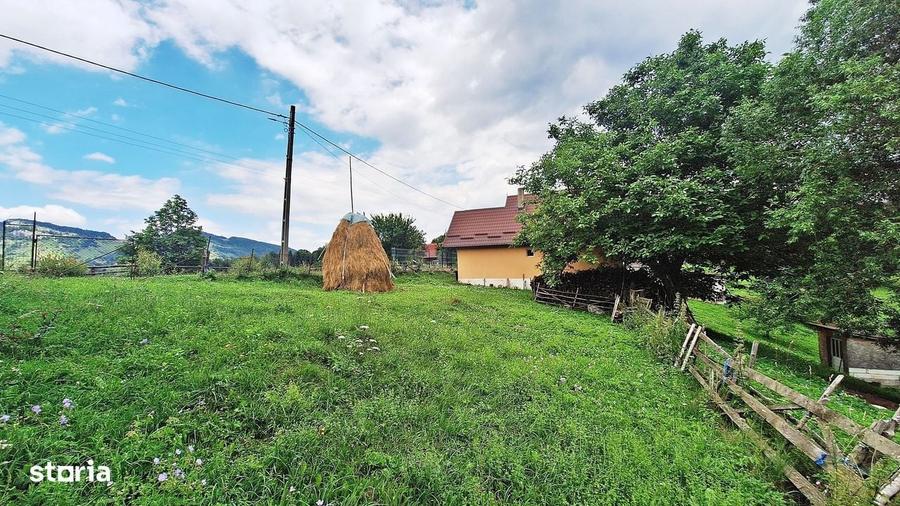 Teren de 1000mp in Bran, satul pitoresc Pestera - 12