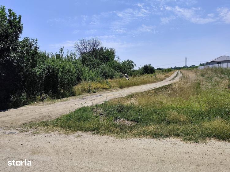 Teren de 5200 mp, în Săbăreni