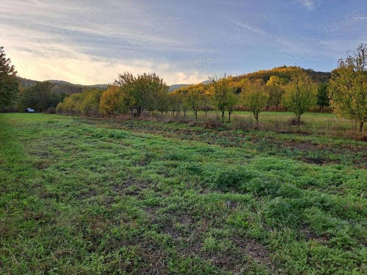 Teren de 1815 mp, în Măneciu