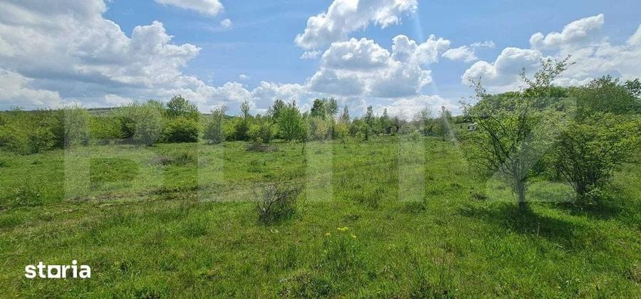 Teren de 1500 mp, în Central