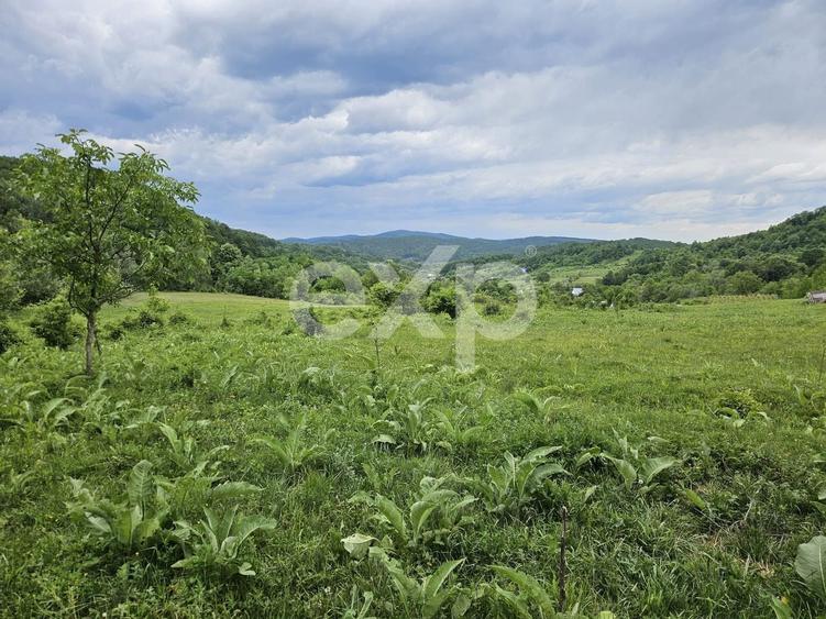 Teren agricol extravilan de 11935 mp, în Mărgineni