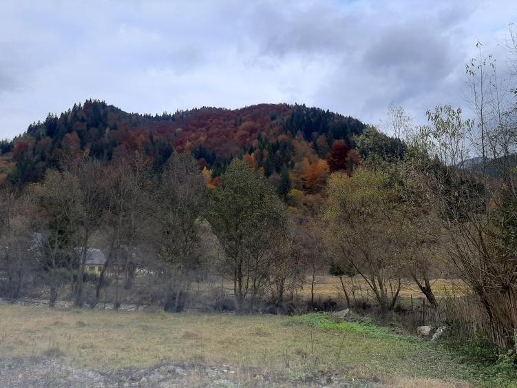 Casă individuală cu 3 camere cu Canalizare în Sătic