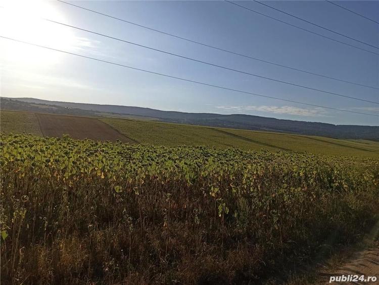 Teren de 5400 mp, în Pădurii