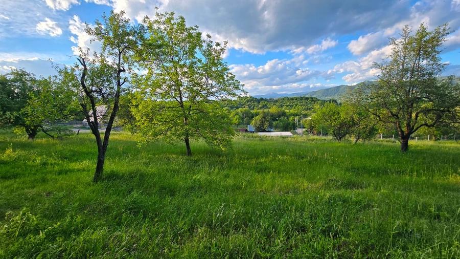 Teren Construcții intravilan de 1000 mp, în Poienărei