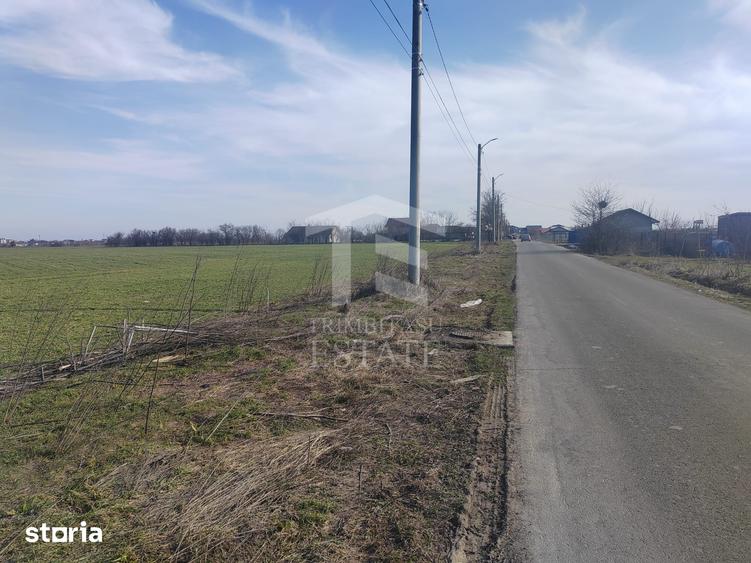Teren de 8650 mp, în Cernica