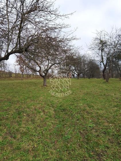 Teren agricol extravilan de 3966 mp, în Budacu de Sus
