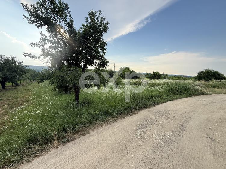 Teren de vânzare în Topoloveni | Zonă liniștită, aproape de oraș - 2