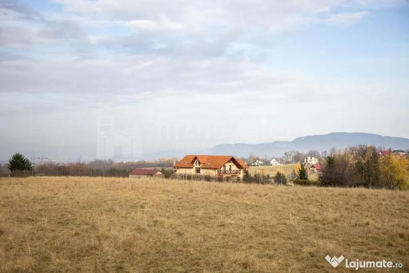 Teren de 3364 mp, în Sohodol