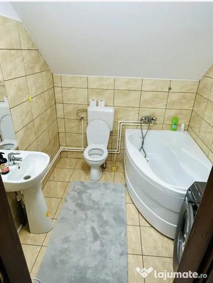 Casă cu 6 camere în Andreneasa