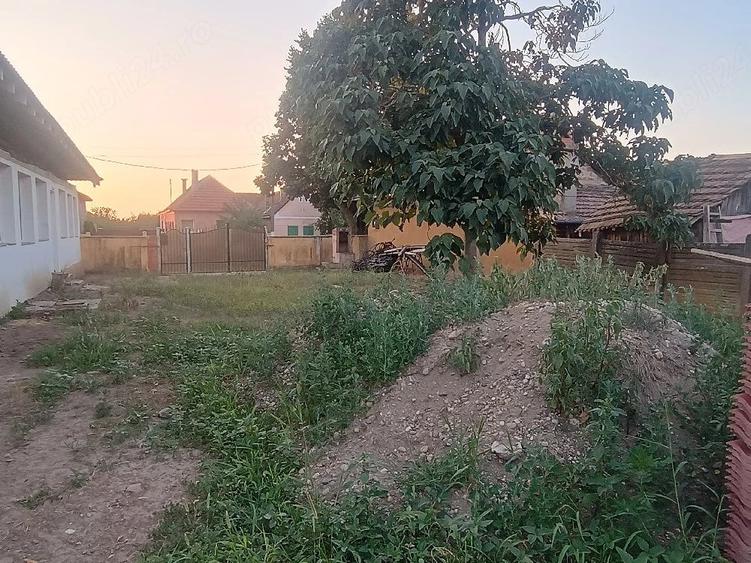 Casă cu Teren 1439 Mp în Alioș