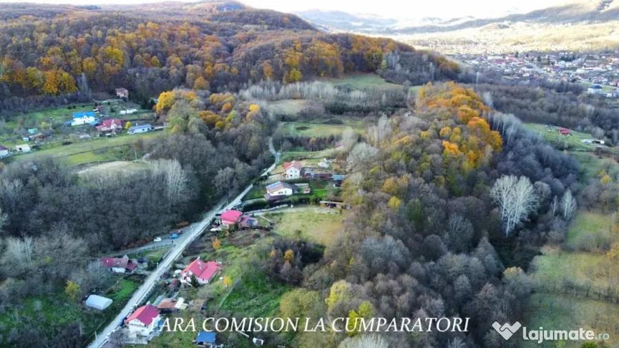 PADURE LANGA ORAS ACCES BUN IDEALA PENTRU ACTIVITATI DE AGRE - Ramnicu Valcea (Valcea) - 7