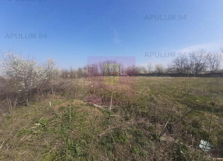 Teren de 4800 mp, în Glina