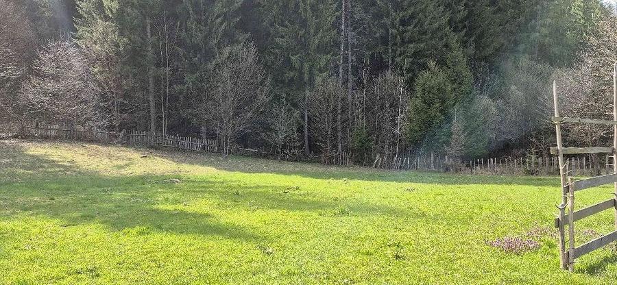 Teren de 4096 mp, în Tarcău