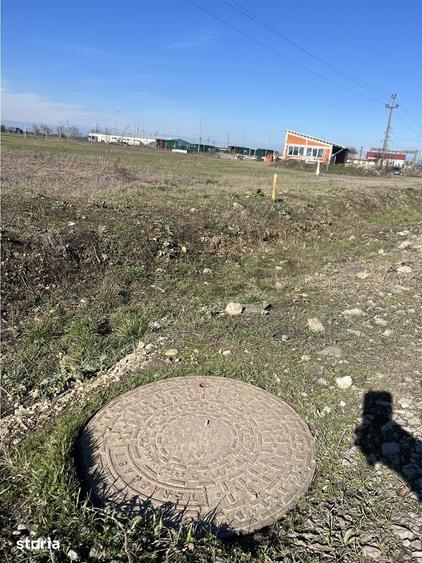 Teren de 5000 mp, în Sântandrei