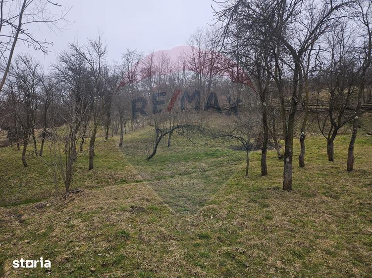 Casă cu 5 camere cu Teren 1958 Mp în Central