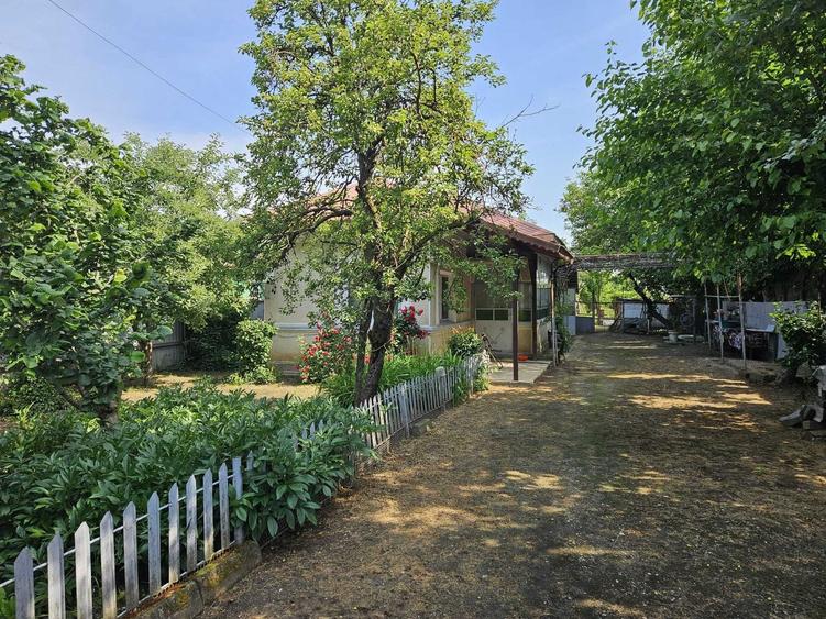 Casă cu 3 camere cu Teren 4050 Mp în Valea Dragului