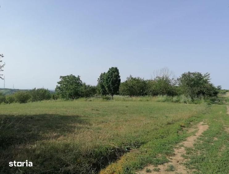 Teren de 10480 mp, în Paleu