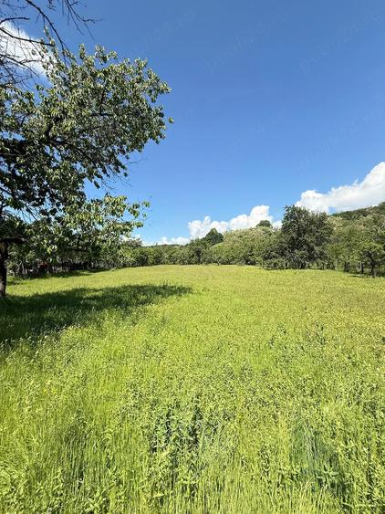 Teren de 3900 mp, în Sâmbotin