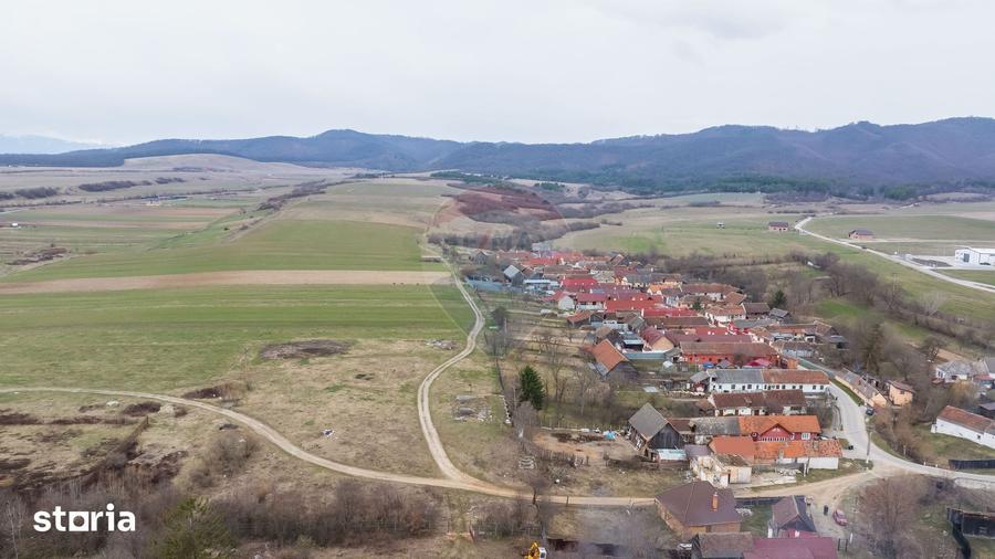 Teren de 9979 mp, în Crizbav