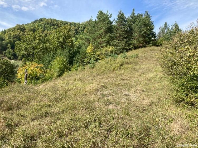 Teren de 4420 mp, în Vinețisu