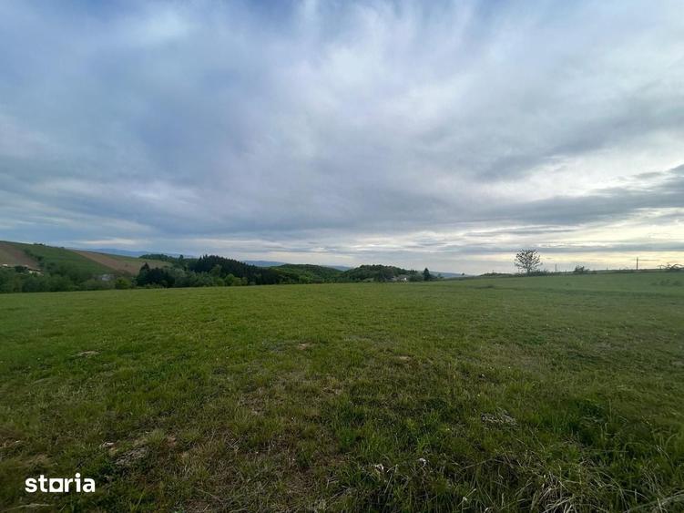 Teren de 11290 mp, în Meseșenii de Jos