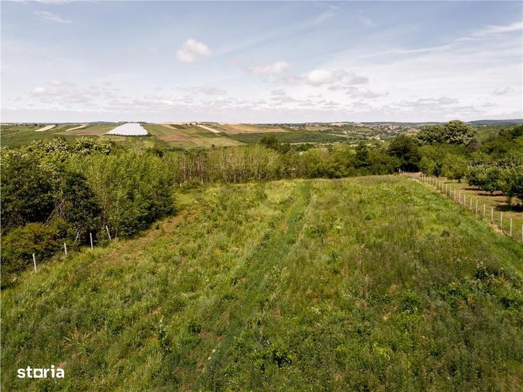 Spațiu comercial, în Săldăbagiu de Munte
