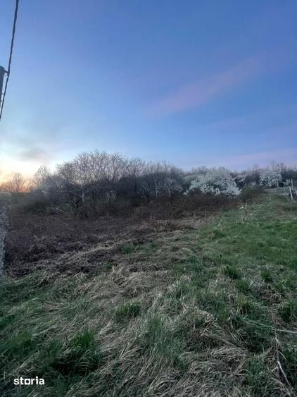 Teren de 2200 mp, în Valea Borcutului