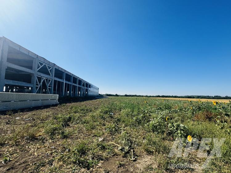 Teren agricol intravilan de 16295 mp, în Clinceni