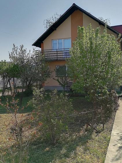 Casă cu Teren 600 Mp în Viișoara