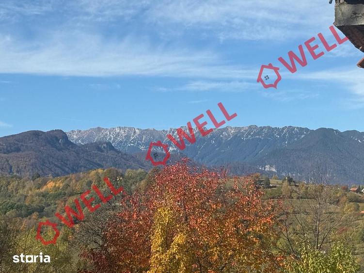 Casă cu Teren 4831 Mp în Bran
