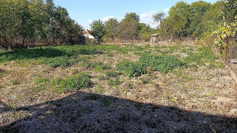Casă cu 3 camere cu Teren 2000 Mp în Viștea