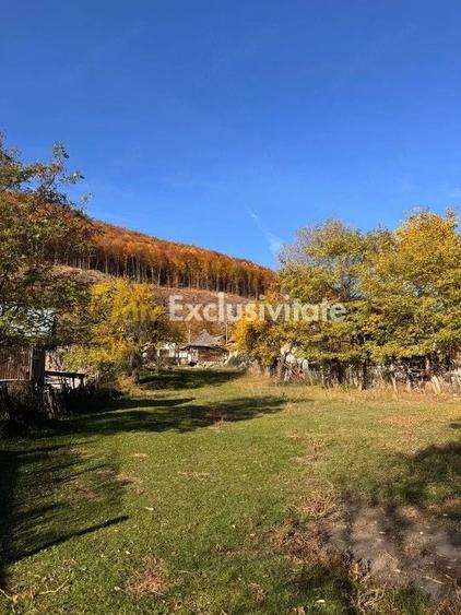 Teren de 7500 mp, în Sălătrucu