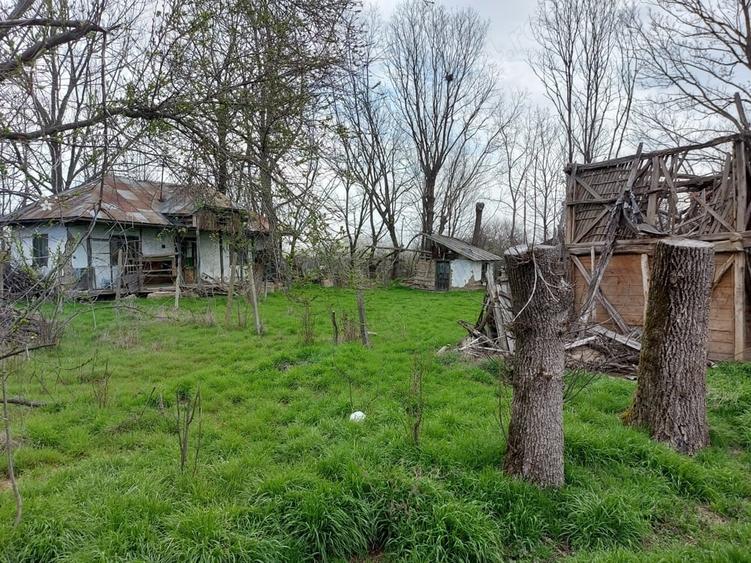 Teren de 2137 mp, în Șerbănești (Rociu)
