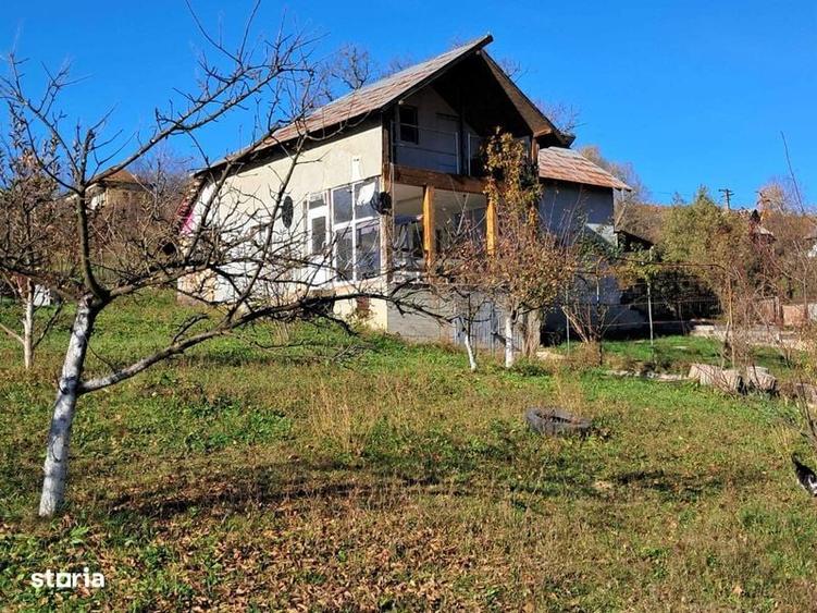 Casa de vacanta in Cotmeana, Arges - 4