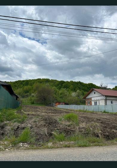 Teren intravilan 5400 m2 - 6