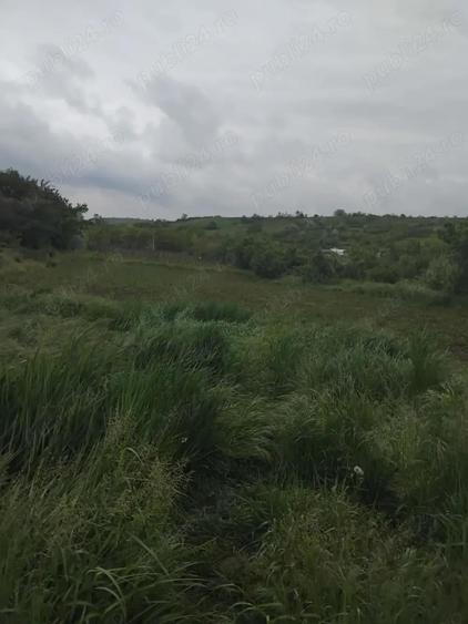 Teren de 3000 mp, în Central